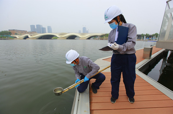 蚊幼虫勺舀监测